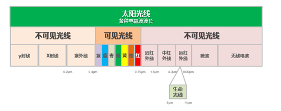 電飯煲只有日本的好？蘇泊爾電飯煲更懂中國人的胃