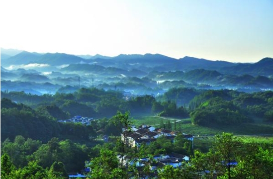 就地過年：這樣過出新鮮感！