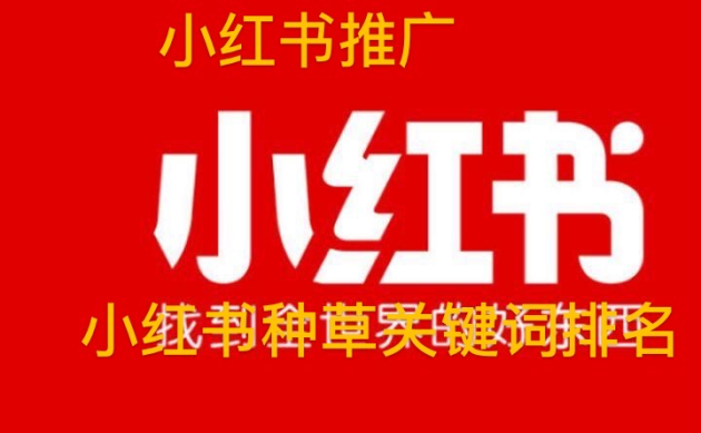 詳解小紅書推廣方式如何引流，小紅書推廣費用一般多少