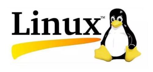 感受開源之美，共享 Linux 的安全與便捷