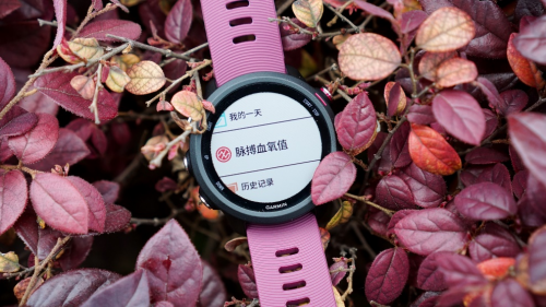 Garmin Forerunner 245，全新升級(jí)帶來(lái)全新體驗(yàn)